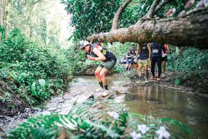 BIB: 
                            <button type="button" onclick="openModal(25478012)" class="btn btn-primary btn-sm float-right btn-popup" data-toggle="modal" data-target=".modal-high-quality">
                        <i class="fas fa-shopping-cart"></i> Add to Cart
                    </button>
                                            <button type="button" onclick="isThisMe(25478012, true)" class="btn btn-success btn-sm float-right btn-popup btn-isme hidden" data-toggle="tooltip" data-placement="bottom" title="นี่คือรูปของคุณใช่ไหม คลิกที่นี่เพื่อเอาเข้าอัลบั้ม">
                        <i class="fas fa-plus"></i> Add to album
                    </button>
                    <button type="button" onclick="isThisMe(25478012, false)" class="btn btn-warning btn-sm float-right btn-popup btn-isnotme hidden">
                        <i class="fas fa-ban"></i> Remove from album
                    </button>